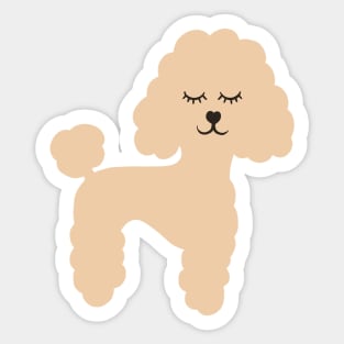 Cute Sleepy Beige Apricot Poodle Illustration Sticker